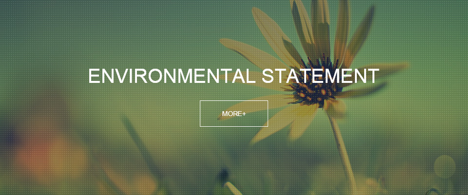 Environmental statement