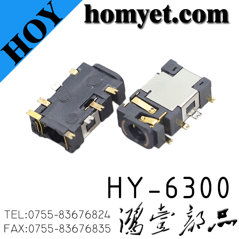 HY-6300